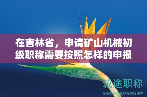 在吉林省，申请矿山机械初级职称需要按照怎样的申报流程进行？