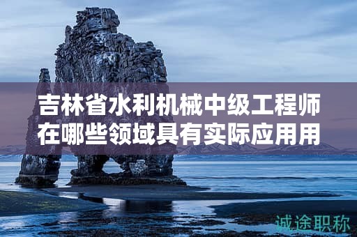 吉林省水利机械中级工程师在哪些领域具有实际应用用途？