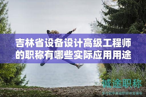 吉林省设备设计高级工程师的职称有哪些实际应用用途？