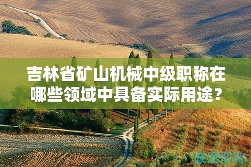 吉林省矿山机械中级职称在哪些领域中具备实际用途？