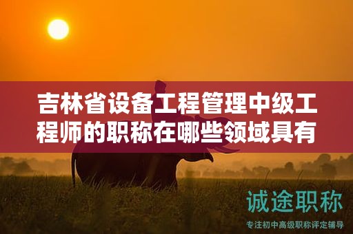 吉林省设备工程管理中级工程师的职称在哪些领域具有实际用途？