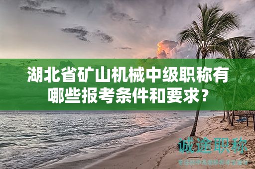湖北省矿山机械中级职称有哪些报考条件和要求？