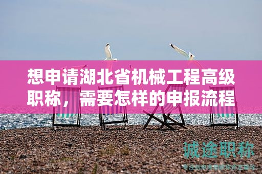 想申请湖北省机械工程高级职称，需要怎样的申报流程？