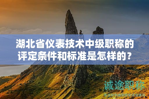 湖北省仪表技术中级职称的评定条件和标准是怎样的？