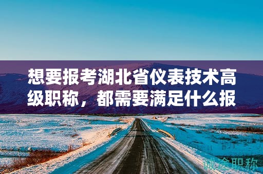想要报考湖北省仪表技术高级职称，都需要满足什么报考条件和要求？