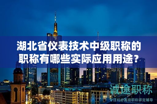 湖北省仪表技术中级职称的职称有哪些实际应用用途？