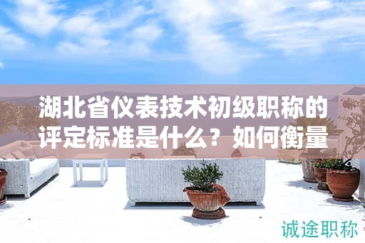 湖北省仪表技术初级职称的评定标准是什么？如何衡量？