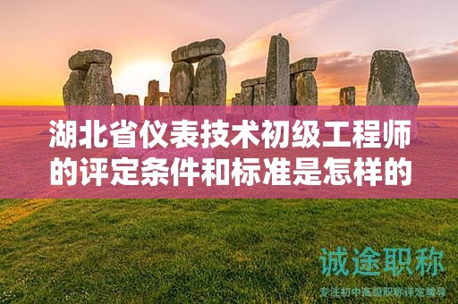 湖北省仪表技术初级工程师的评定条件和标准是怎样的？