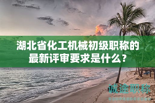 湖北省化工机械初级职称的最新评审要求是什么？