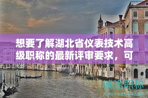 想要了解湖北省仪表技术高级职称的最新评审要求，可以查阅哪些信息？