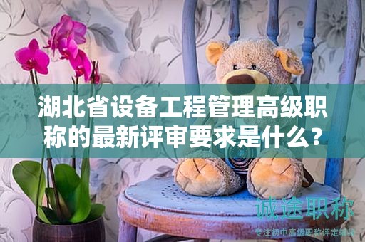湖北省设备工程管理高级职称的最新评审要求是什么？