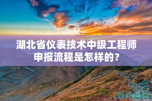 湖北省仪表技术中级工程师申报流程是怎样的？