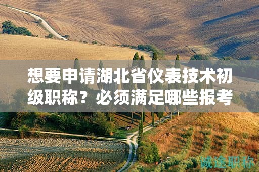 想要申请湖北省仪表技术初级职称？必须满足哪些报考条件？
