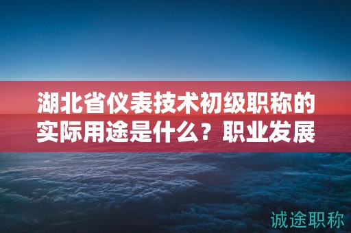 湖北省仪表技术初级职称的实际用途是什么？职业发展价值大吗？