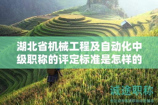 湖北省机械工程及自动化中级职称的评定标准是怎样的？