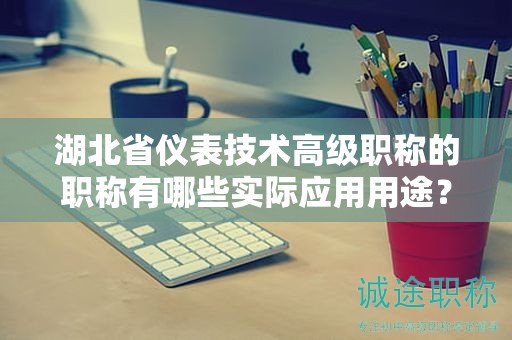 湖北省仪表技术高级职称的职称有哪些实际应用用途？