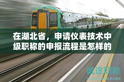 在湖北省，申请仪表技术中级职称的申报流程是怎样的？