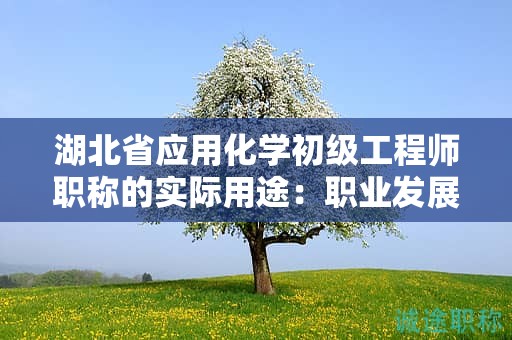 湖北省应用化学初级工程师职称的实际用途：职业发展中的意义何在？
