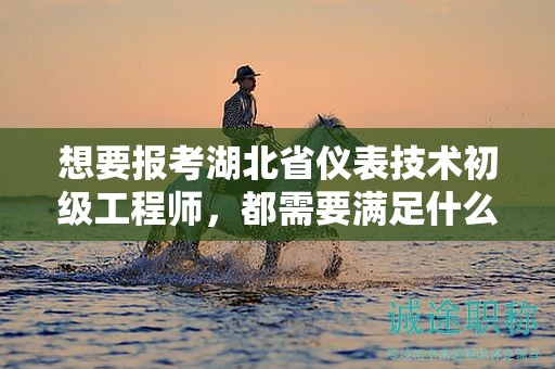 想要报考湖北省仪表技术初级工程师，都需要满足什么报考条件和要求？