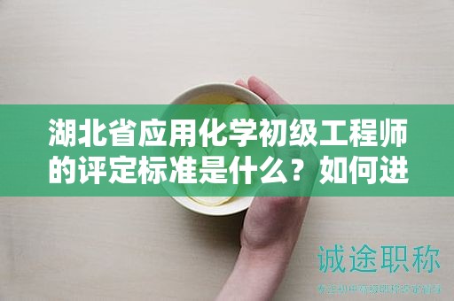 湖北省应用化学初级工程师的评定标准是什么？如何进行评价？