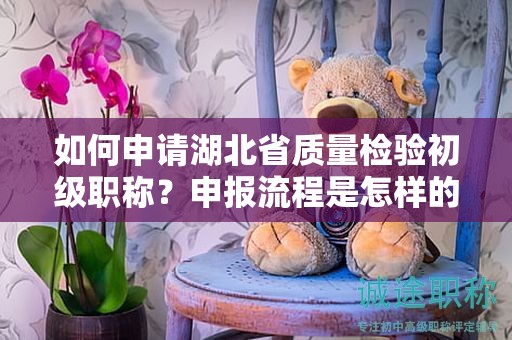 如何申请湖北省质量检验初级职称？申报流程是怎样的？