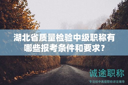湖北省质量检验中级职称有哪些报考条件和要求？