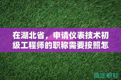 在湖北省，申请仪表技术初级工程师的职称需要按照怎样的申报流程进行？