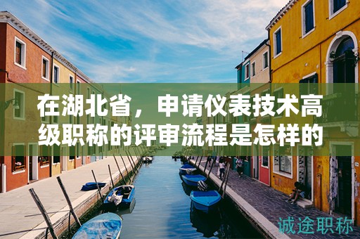 在湖北省，申请仪表技术高级职称的评审流程是怎样的？