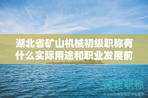 湖北省矿山机械初级职称有什么实际用途和职业发展前景？