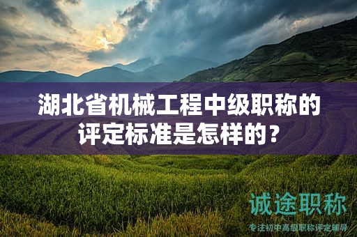 湖北省机械工程中级职称的评定标准是怎样的？