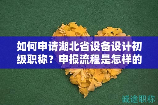如何申请湖北省设备设计初级职称？申报流程是怎样的？