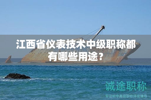 江西省仪表技术中级职称都有哪些用途？