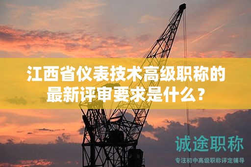 江西省仪表技术高级职称的最新评审要求是什么？