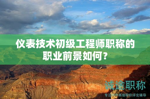 仪表技术初级工程师职称的职业前景如何？