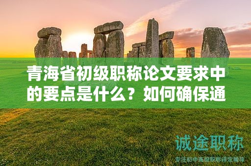 青海省初级职称论文要求中的要点是什么？如何确保通过初审？