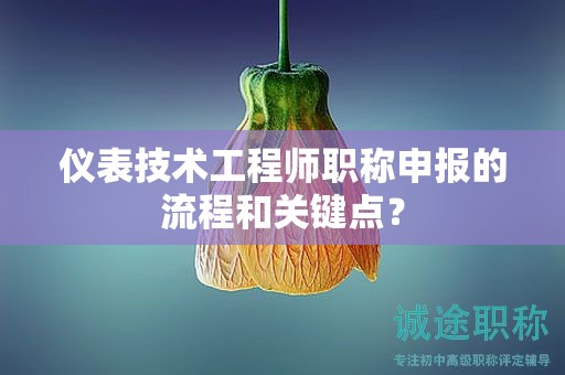 仪表技术工程师职称申报的流程和关键点？