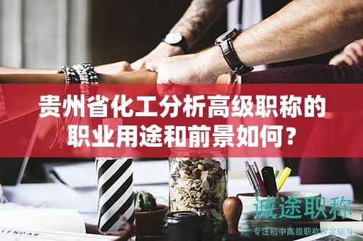 贵州省化工分析高级职称的职业用途和前景如何？