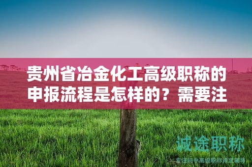 贵州省冶金化工高级职称的申报流程是怎样的？需要注意哪些事项？