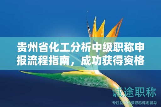 贵州省化工分析中级职称申报流程指南，成功获得资格