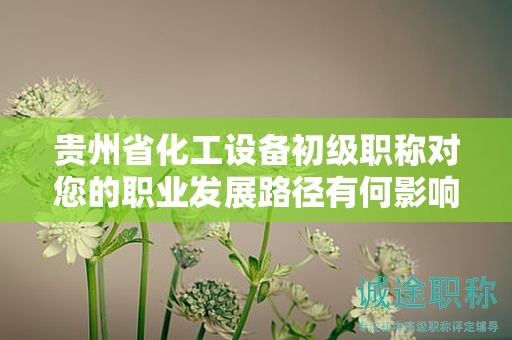 贵州省化工设备初级职称对您的职业发展路径有何影响？