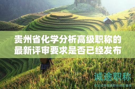 贵州省化学分析高级职称的最新评审要求是否已经发布？