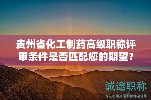 贵州省化工制药高级职称评审条件是否匹配您的期望？