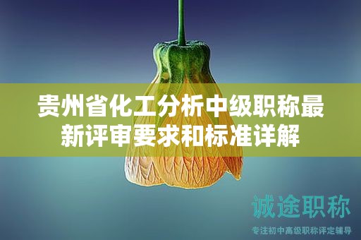 贵州省化工分析中级职称最新评审要求和标准详解