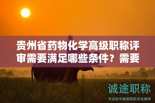 贵州省药物化学高级职称评审需要满足哪些条件？需要准备哪些材料？