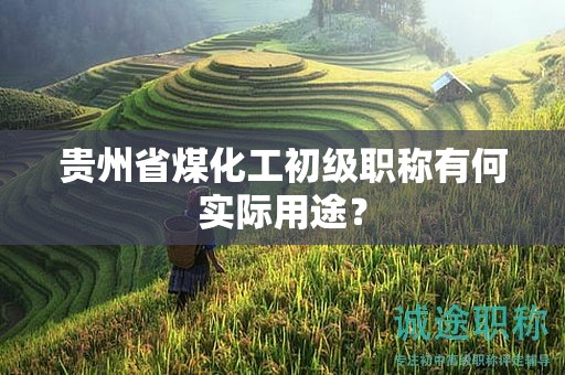 贵州省煤化工初级职称有何实际用途？