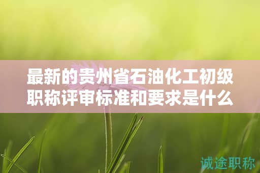最新的贵州省石油化工初级职称评审标准和要求是什么？有哪些变化？