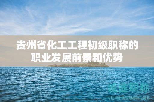 贵州省化工工程初级职称的职业发展前景和优势
