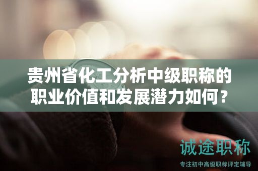 贵州省化工分析中级职称的职业价值和发展潜力如何？