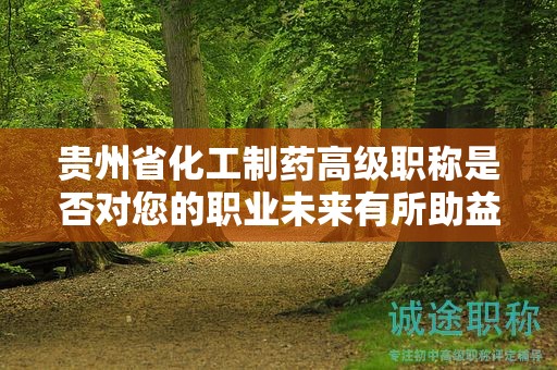 贵州省化工制药高级职称是否对您的职业未来有所助益？