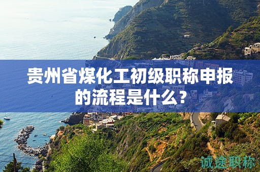 贵州省煤化工初级职称申报的流程是什么？